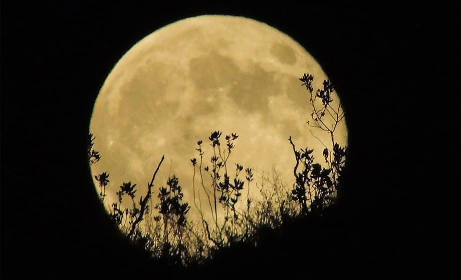 Full Moon and the Lunar Eclipse Meditation and Ritual