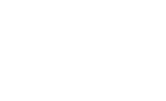 The Amanda Sophia Blog