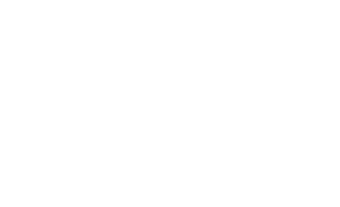 The Amanda Sophia Courses