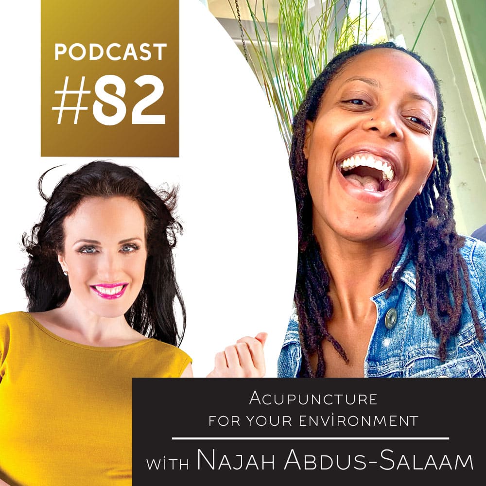 Acupuncture for your environment with Najah Abdus-Salaam