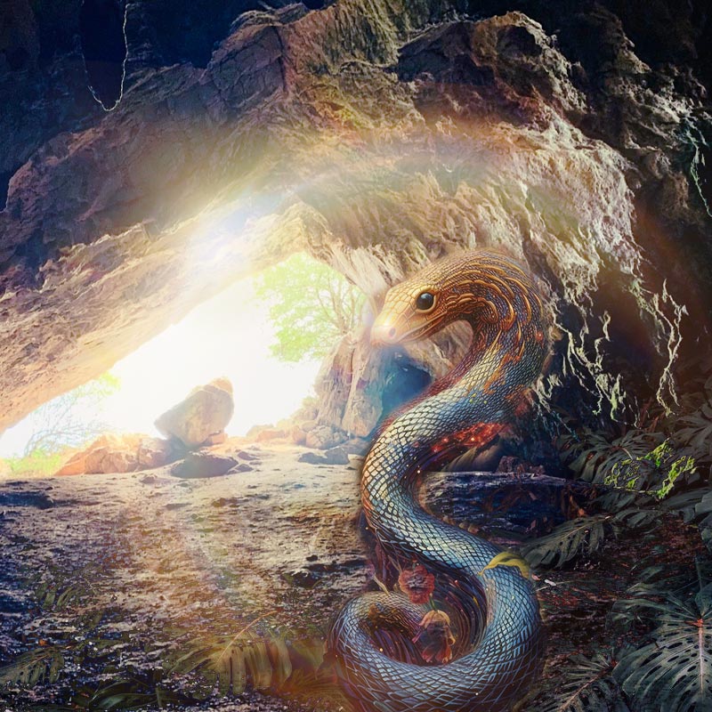 Serpent Energy in Cave
