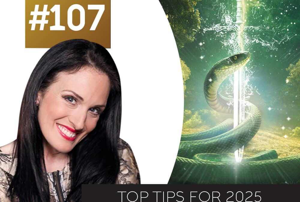 Top Tips for 2025 Year of the Wood Snake Podcast